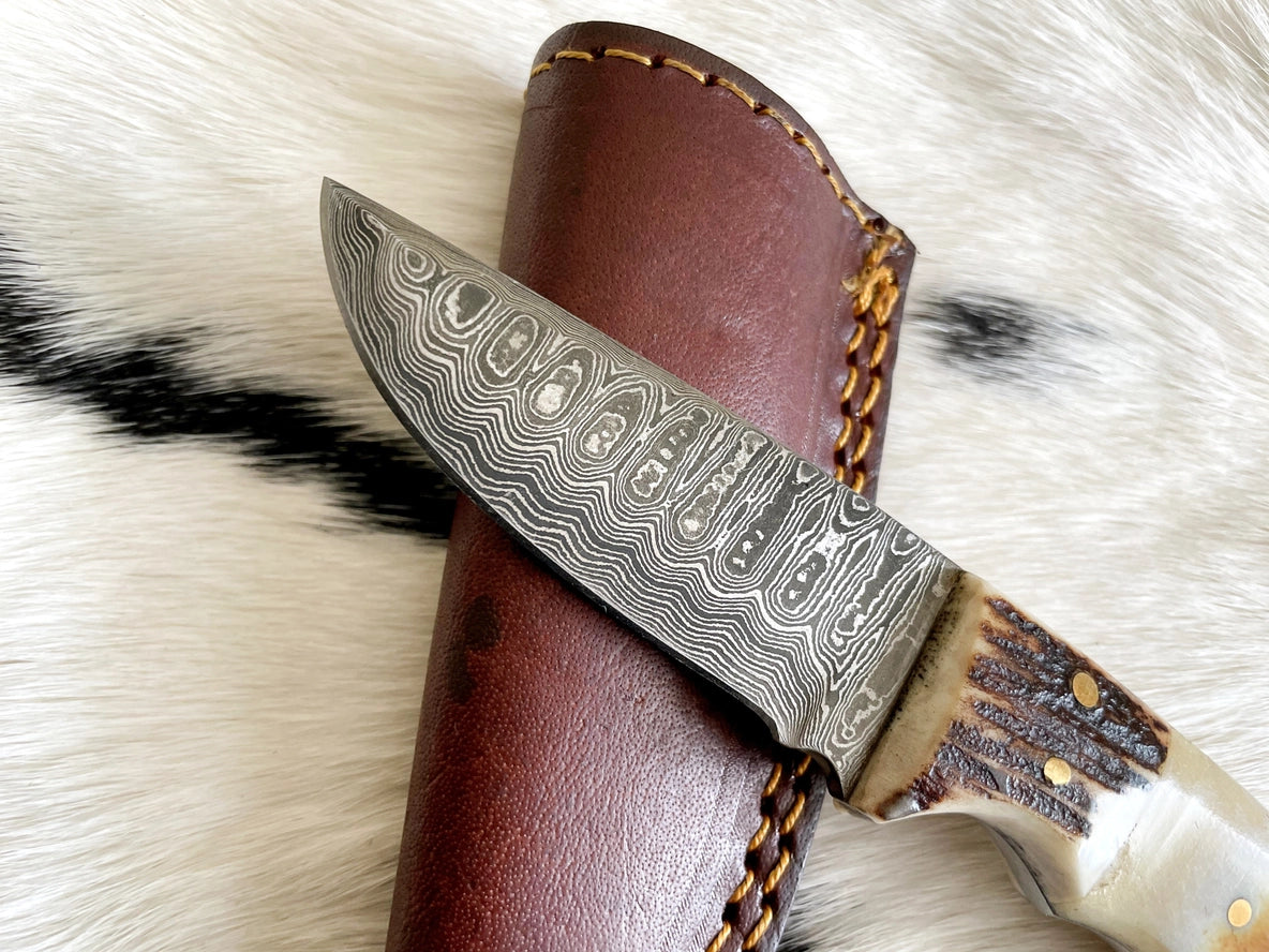 Damascus Steel Burnt Bone & Walnut Hunting Knife