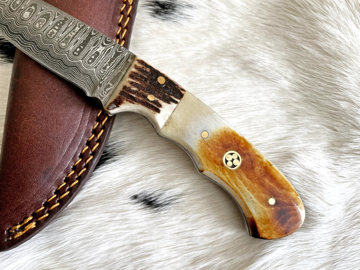 Damascus Steel Burnt Bone & Walnut Hunting Knife