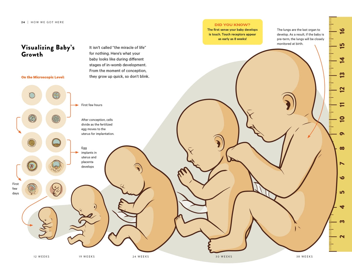 How To Dad: An Illustrated Instruction Manual