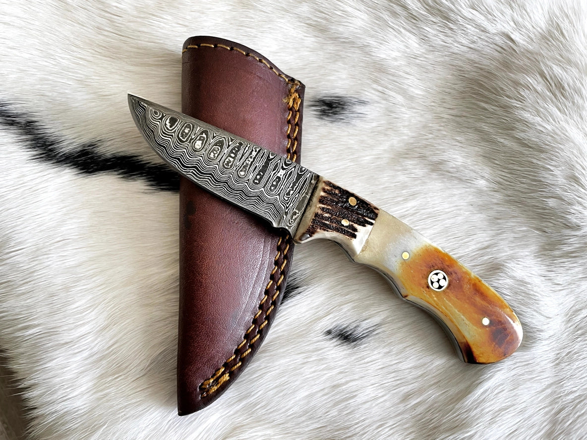 Damascus Steel Burnt Bone & Walnut Hunting Knife