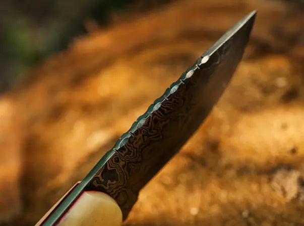 Walnut Fixed Blade
